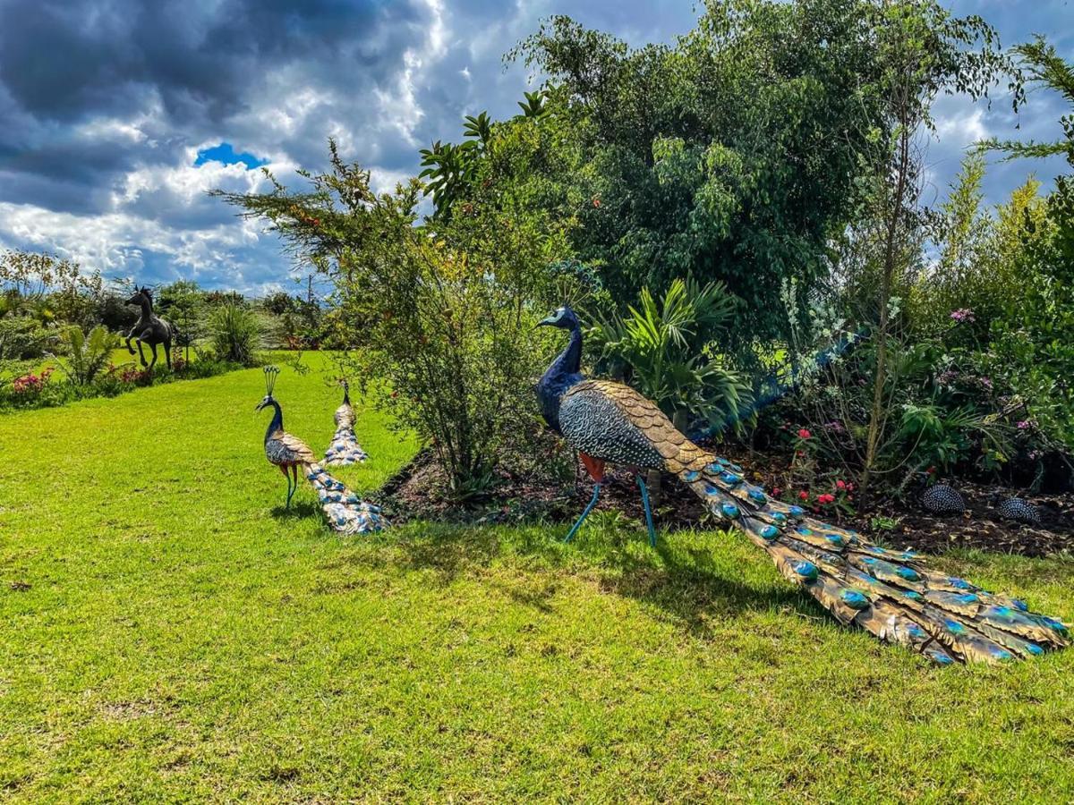 The Last Village Lodge Athi River Luaran gambar